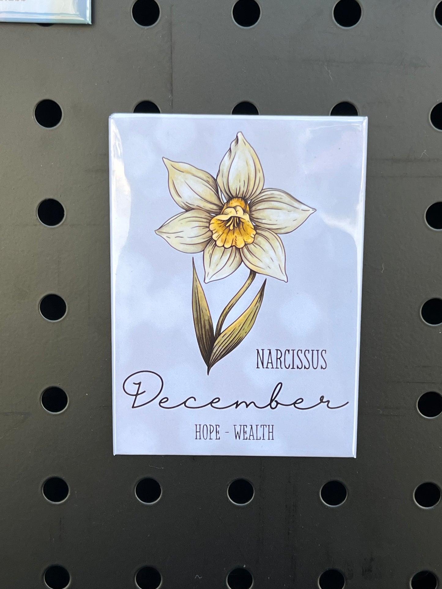 β¨ Birth Month Flower Magnet π